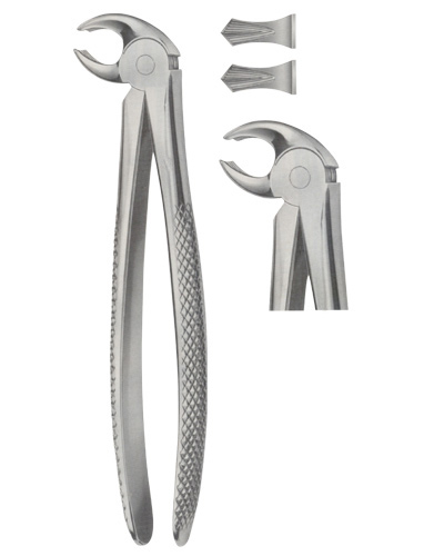 Tooth Forceps for Lower