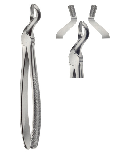 Tooth Forceps for upper Wisdom Teeth