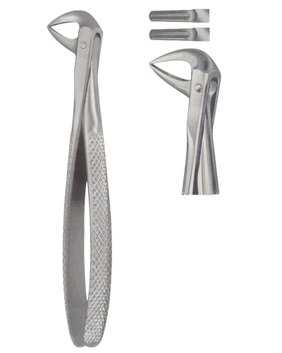 Tooth Forceps for Lower Roots