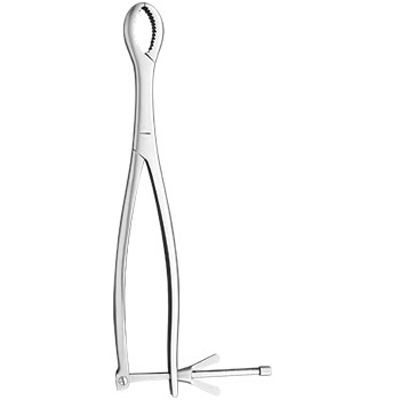 Bone holding forceps