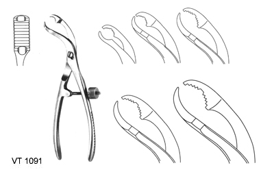 Bone holding forceps