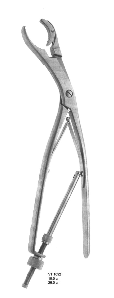 Bone holding forceps