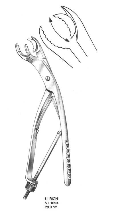 Bone holding forceps