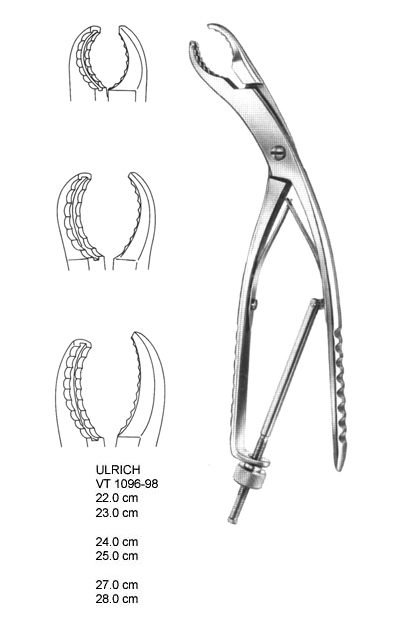 Bone holding forceps