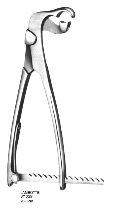 Bone holding forceps