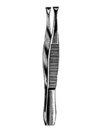 Littauer Cilia Forcep