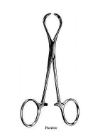 Porrier Tissue Forcep