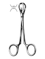 Lane Tissue Forcep