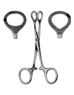 Pean Organ Holding Forcep